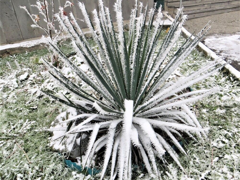 Photograph by Галина