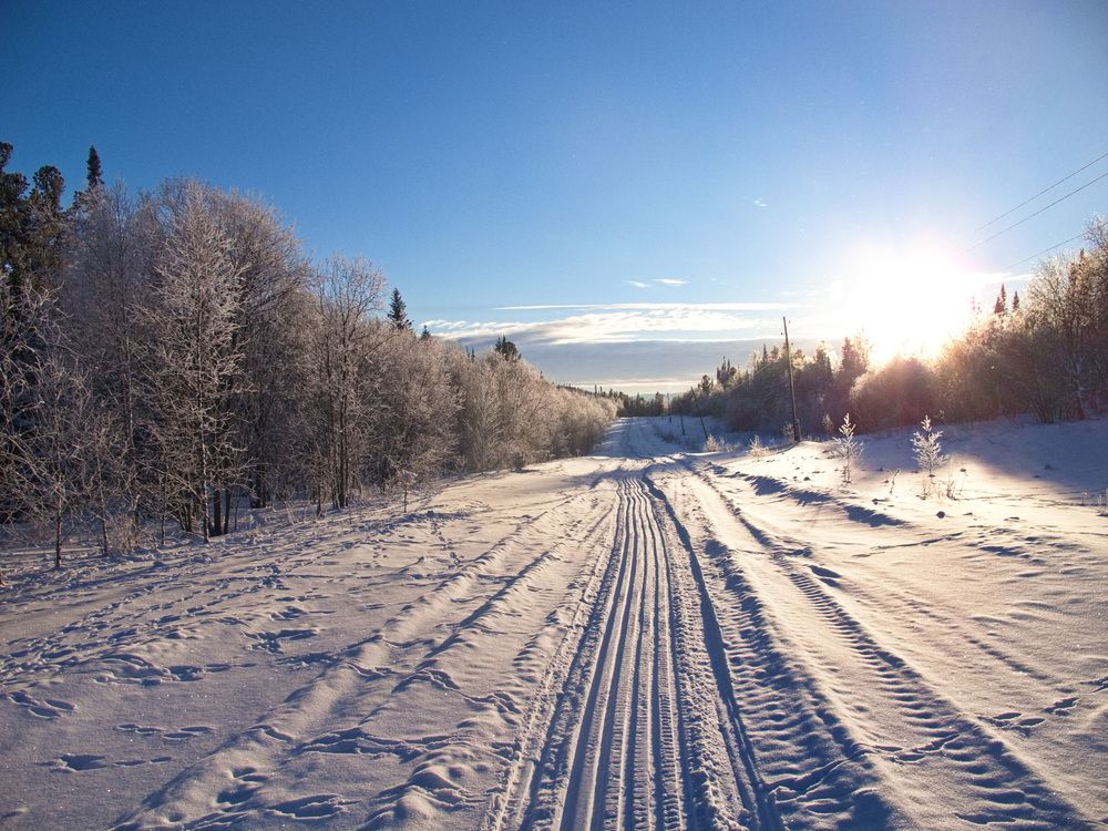 Фотография автора Сергей Тимофеев