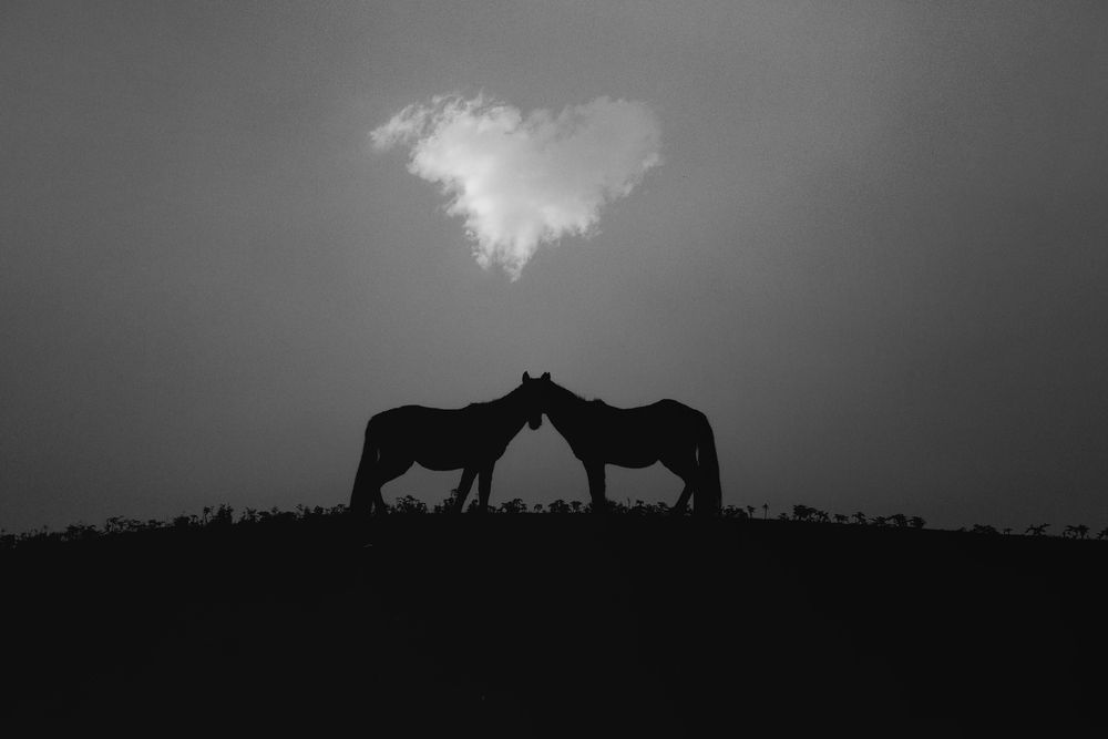 Photograph by seyed mostafa yousefi