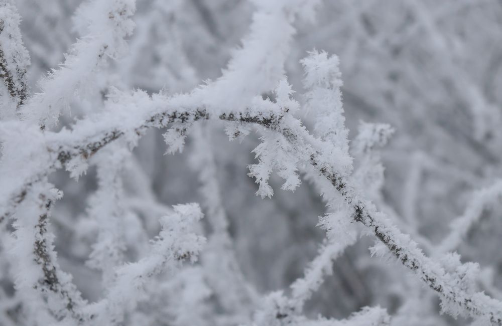 Photograph by Марина Тимонова