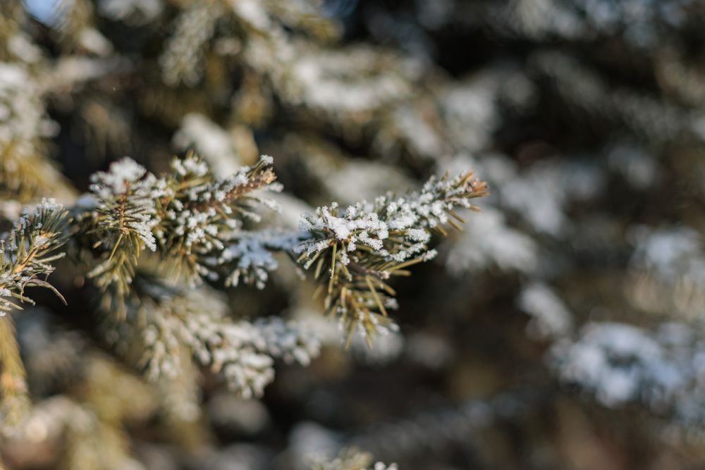 Photograph by Коптелов Виктор