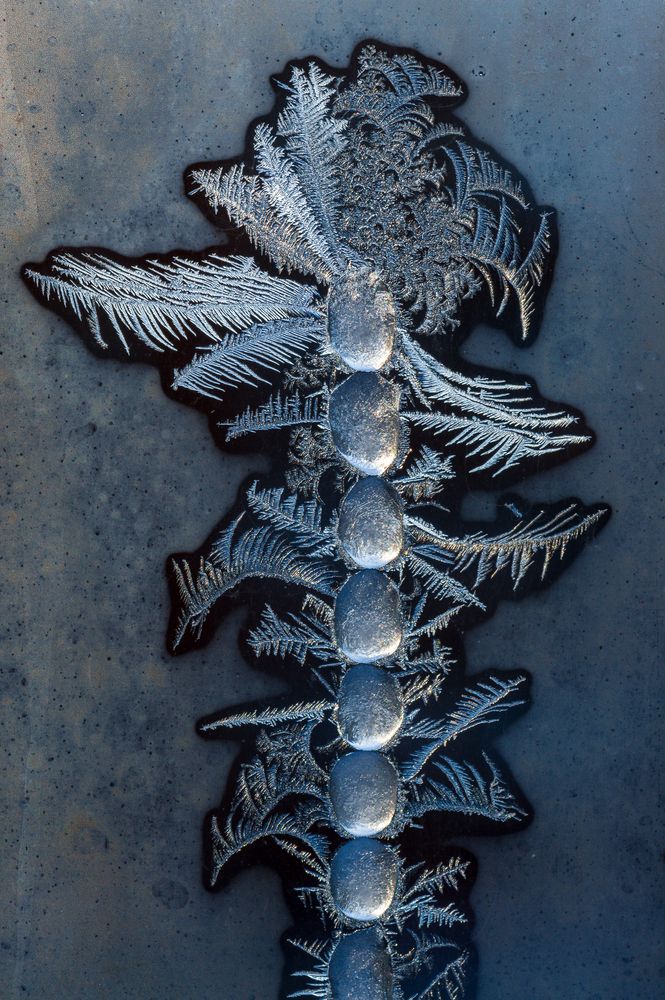 Photograph by Mark Devender