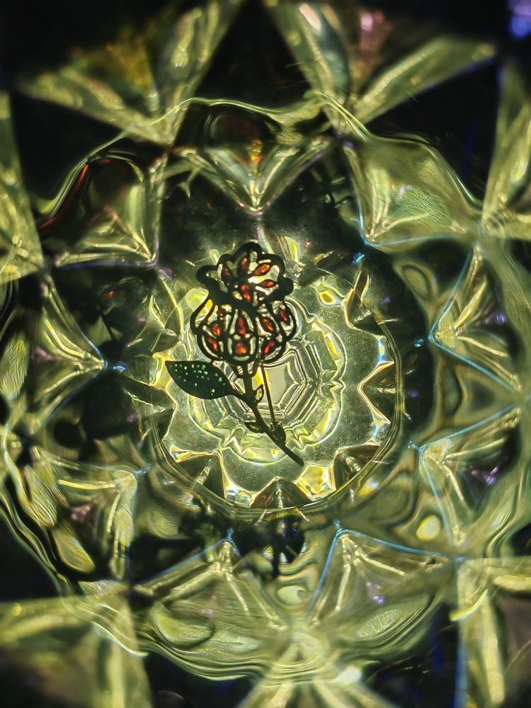 Фотография автора Алёна С-К