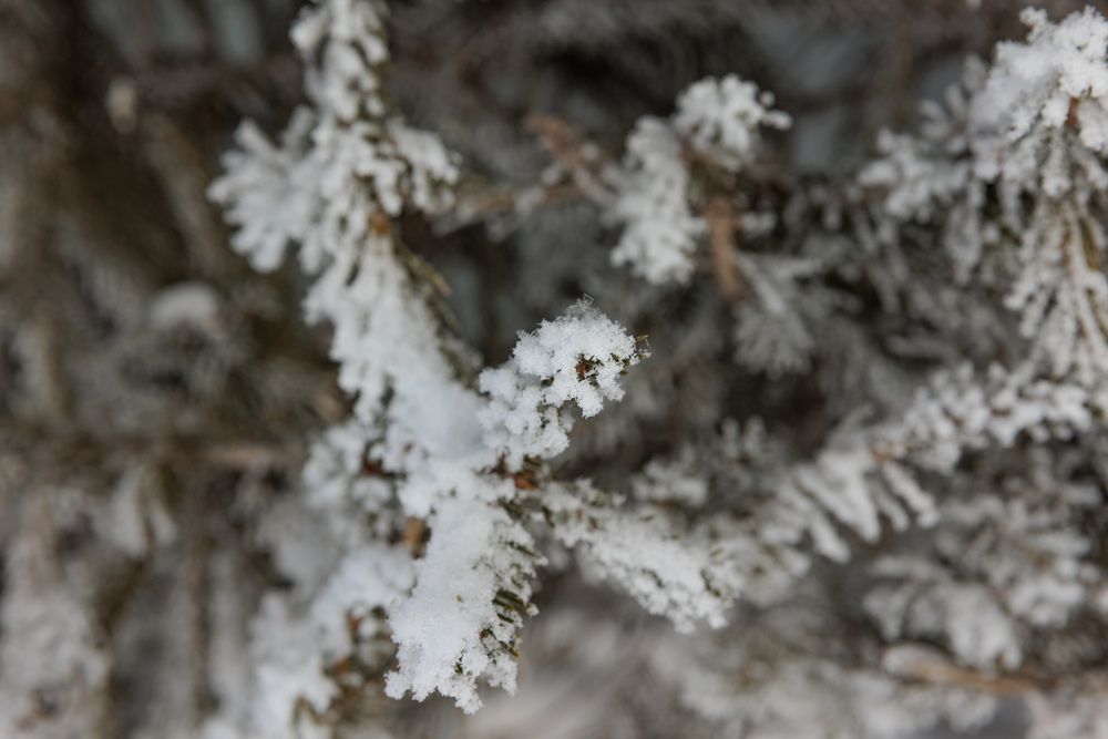 Photograph by Коптелов Виктор