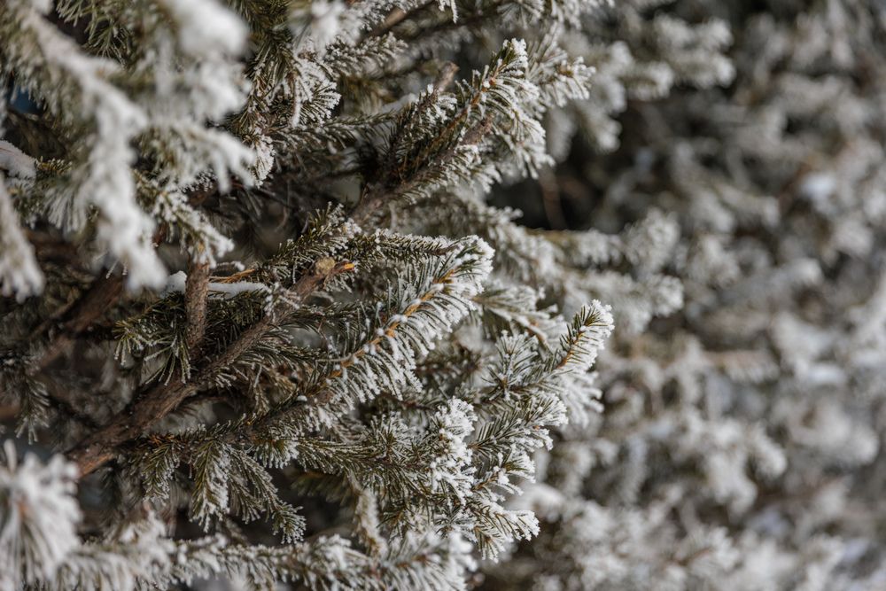 Photograph by Коптелов Виктор