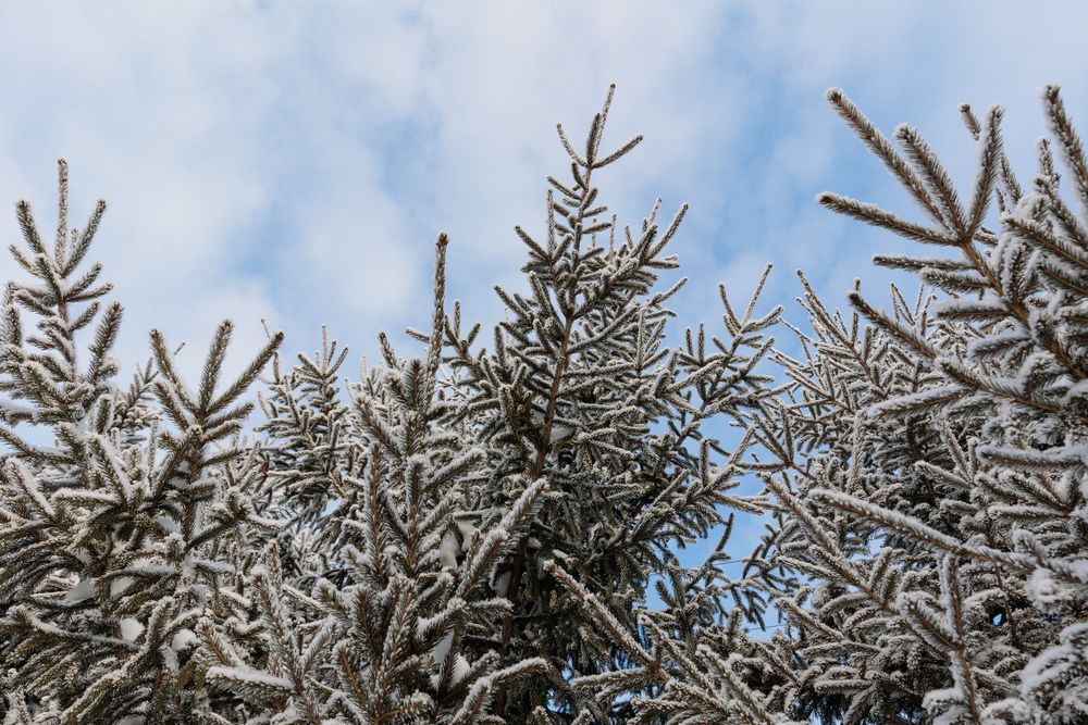 Photograph by Коптелов Виктор