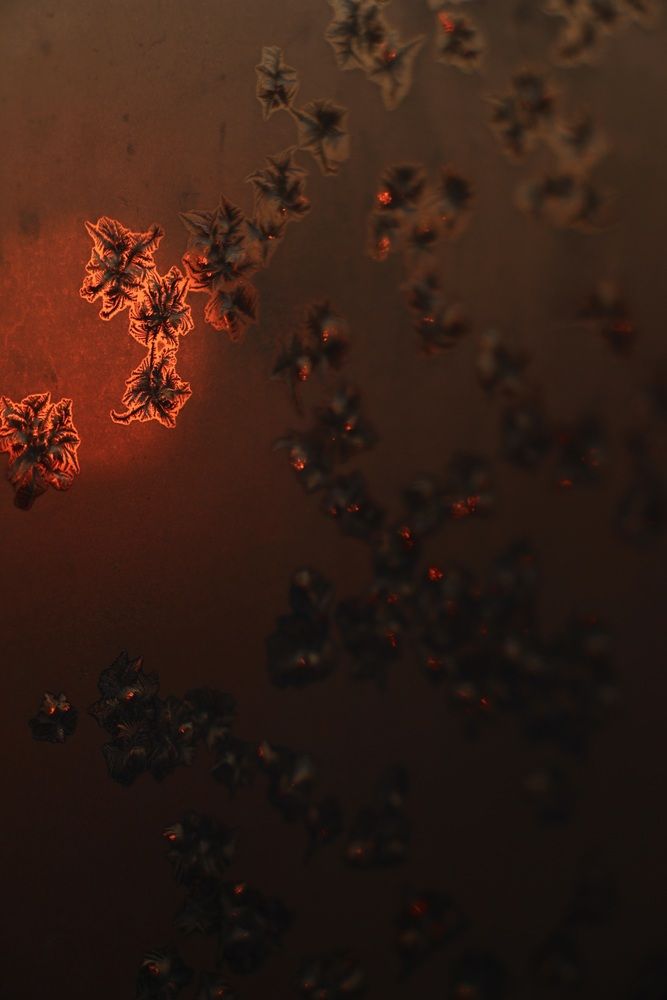 Фотография автора Полина Ишкина