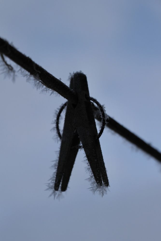 Фотография автора Полина Ишкина