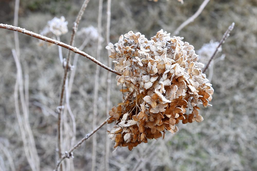 Photograph by Елена Иванова