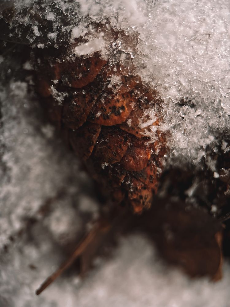 Photograph by Елена Михалева