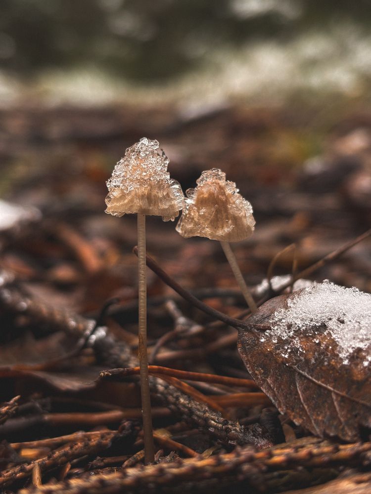 Photograph by Елена Михалева