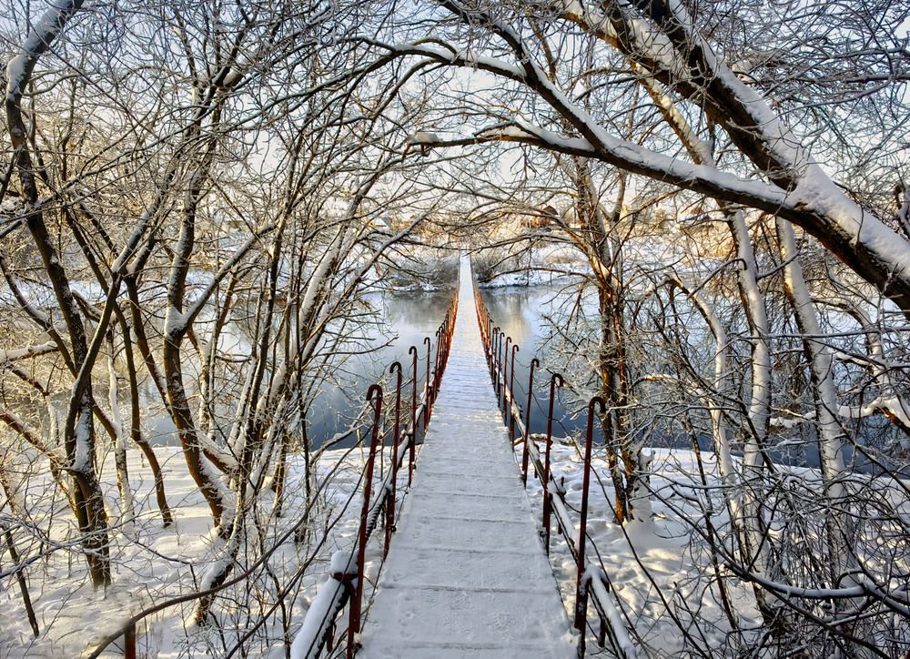 Photograph by Татьяна Мишустина