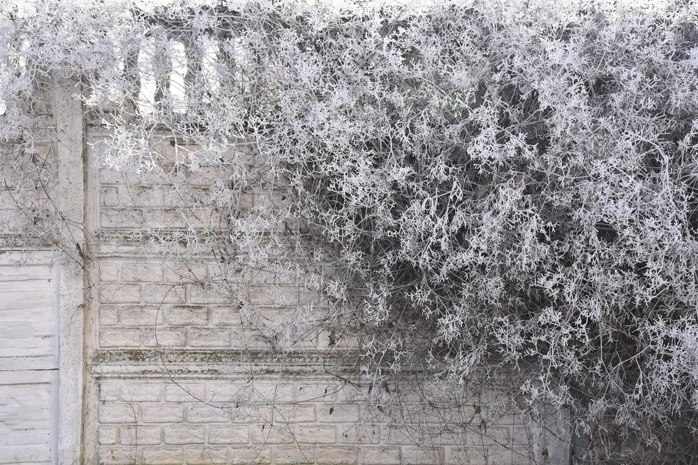 Photograph by Елена Иванова