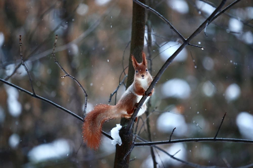 Photograph by Иван Безрядин