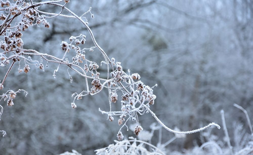 Photograph by Ирина Алексеева