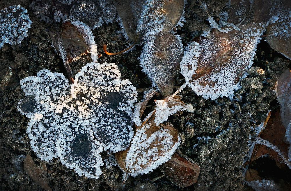 Фотография автора Е лена Е