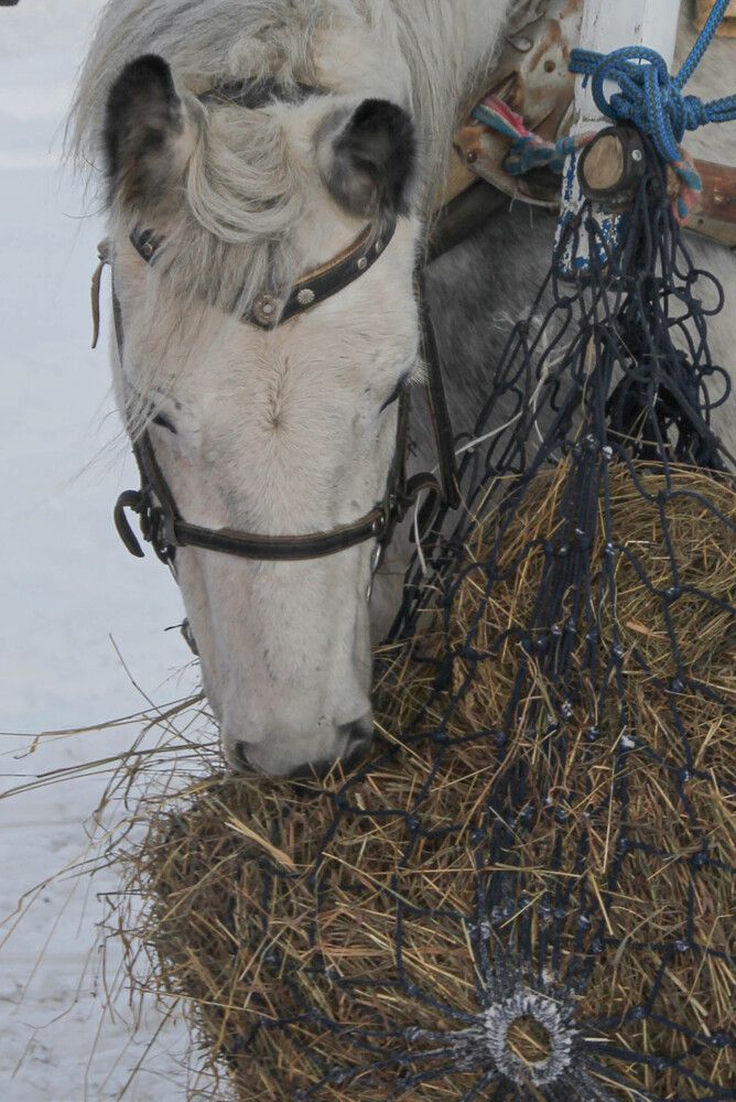 Фотография автора Наталия Козлова