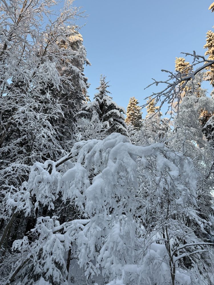 Photograph by Юлия Белоногая