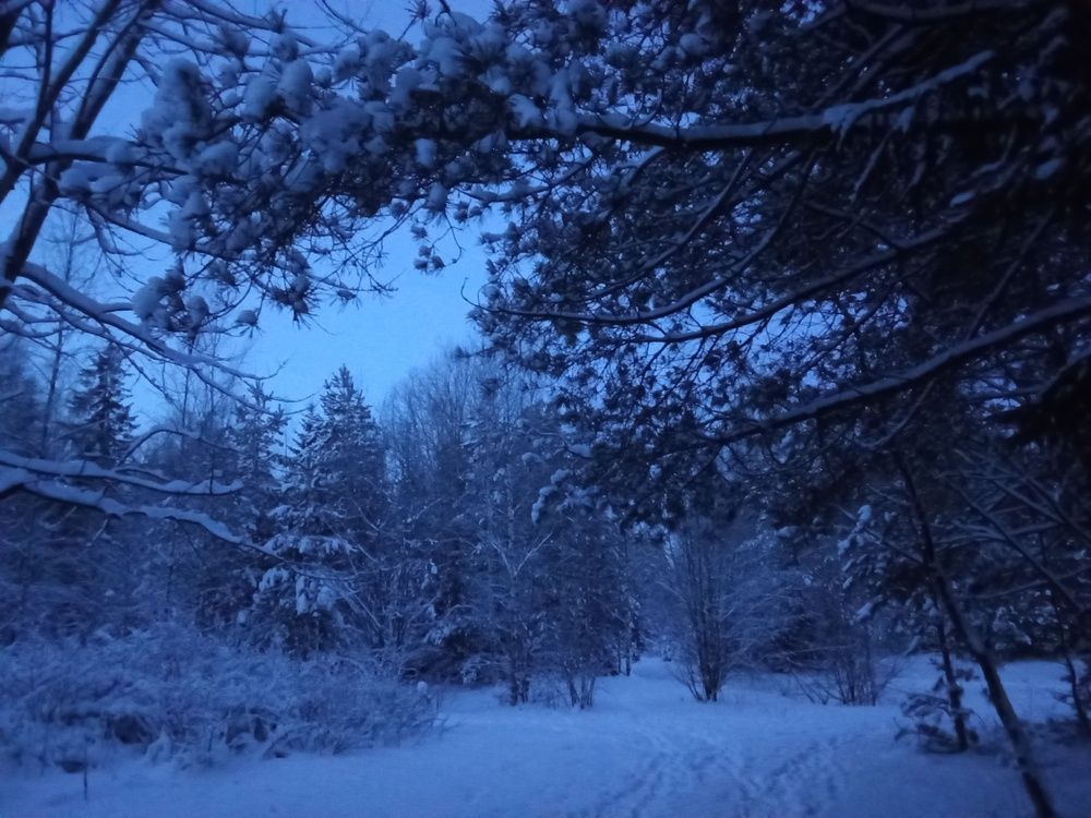 Photograph by Ольга Попова