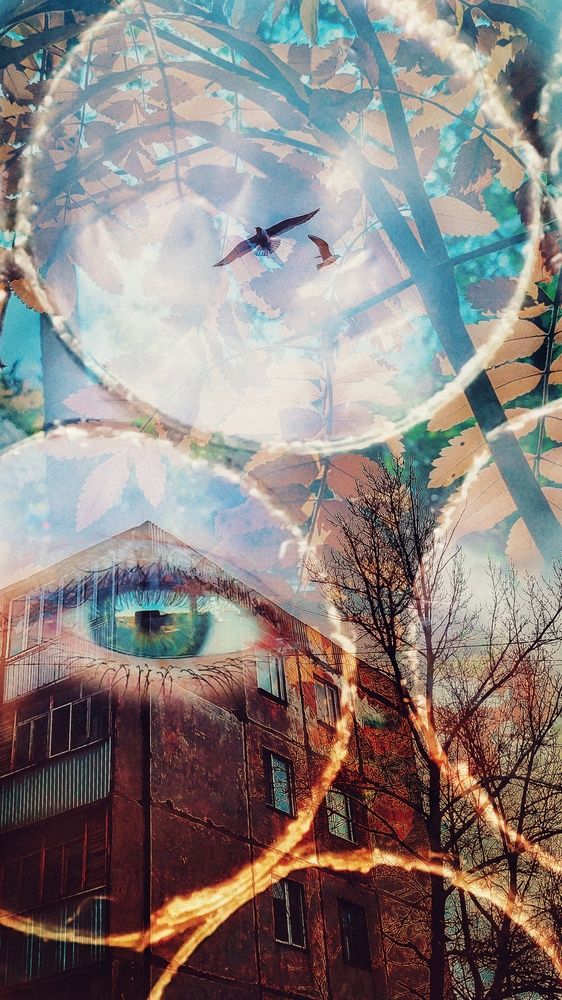 Photograph by Ирина Строкова