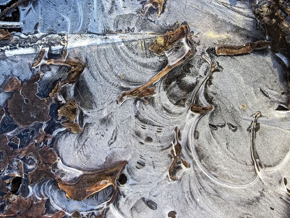 Photograph by Елена Охапкина