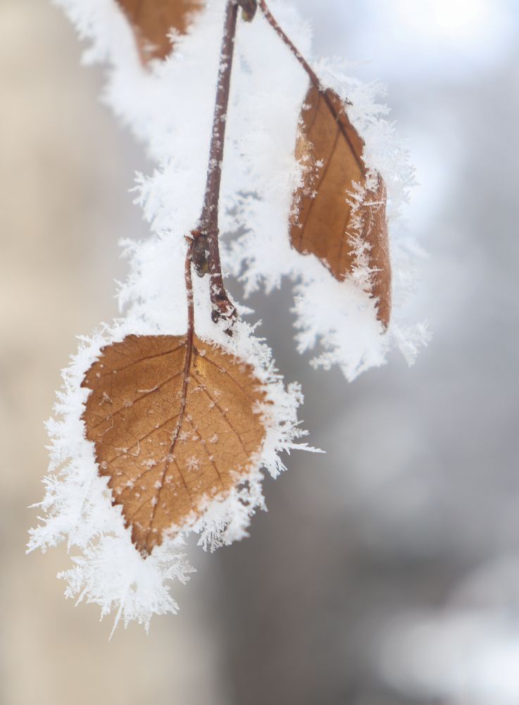 Photograph by Марина Тимонова