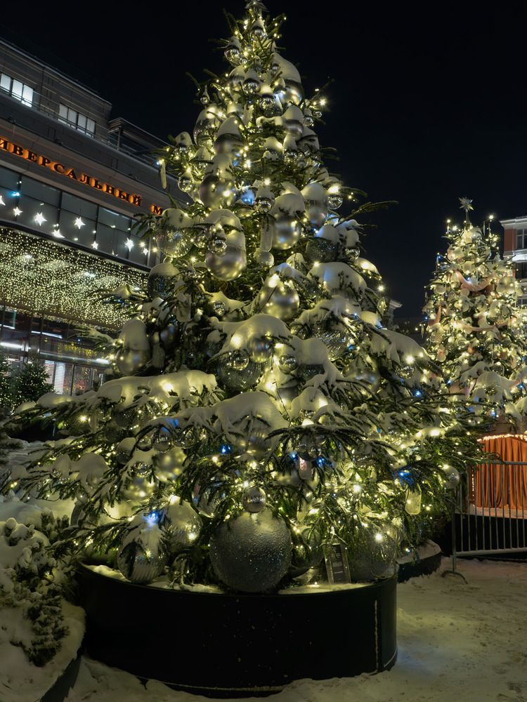 Photograph by Елена Харитонова