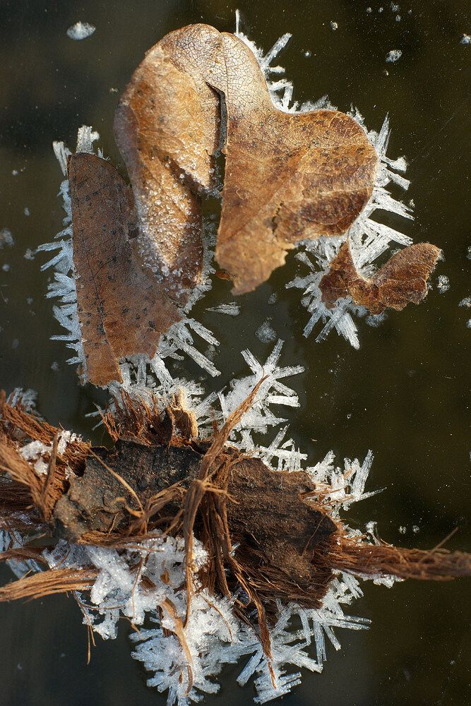 Photograph by Дмитрий Ткаченко