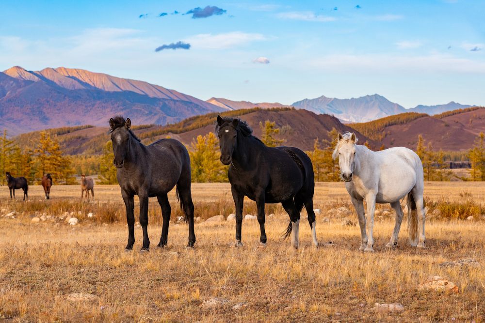 Photograph by Буянов Илья