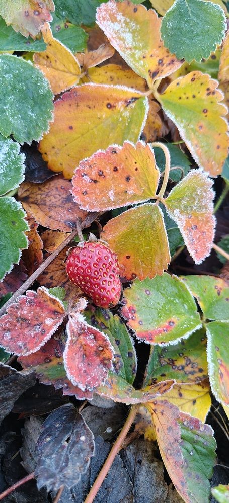 Photograph by Татьяна Нестерова