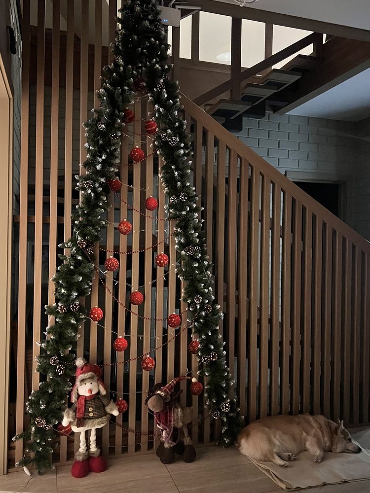 Фотография автора Полина Ишкина