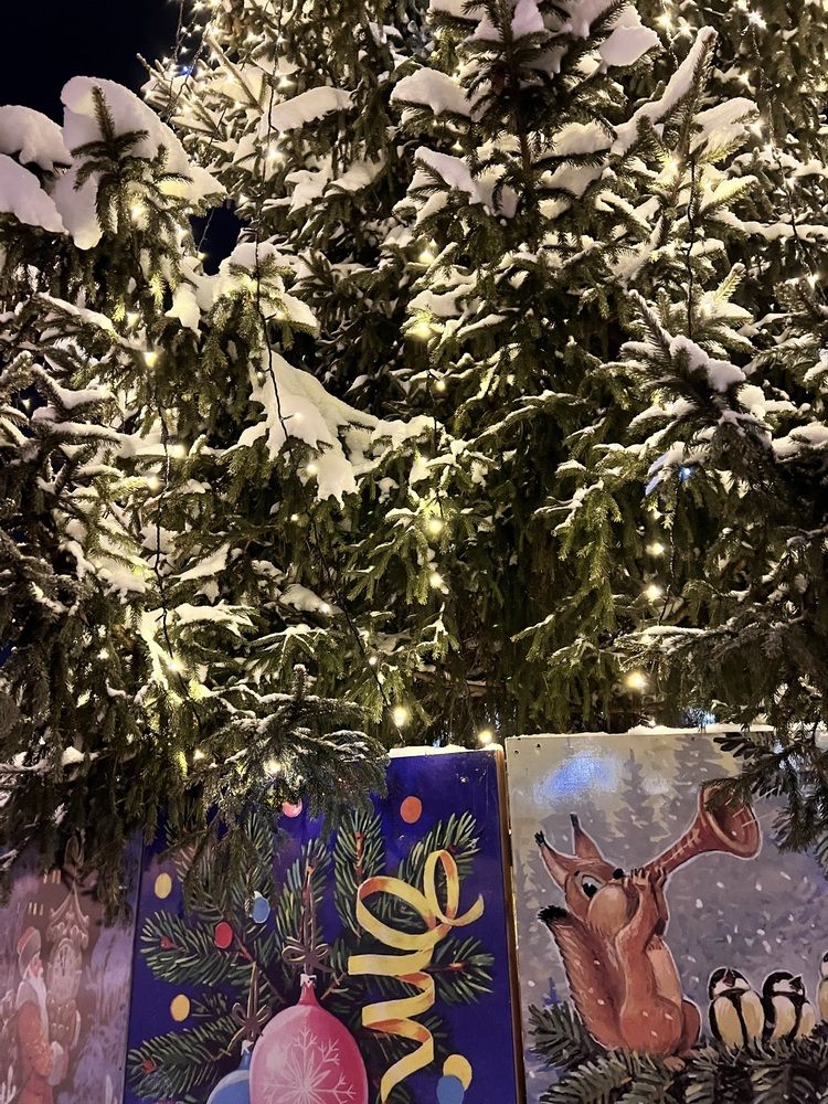 Фотография автора Полина Ишкина