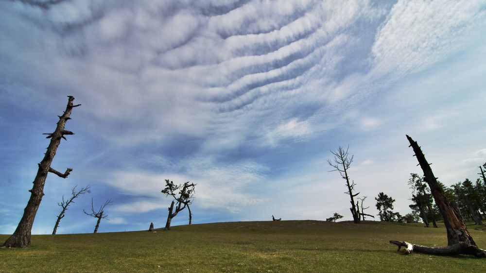 Photograph by Сергей Мур