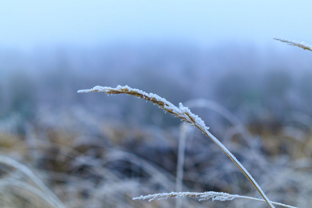 Фотография автора Aamoda Kitchen