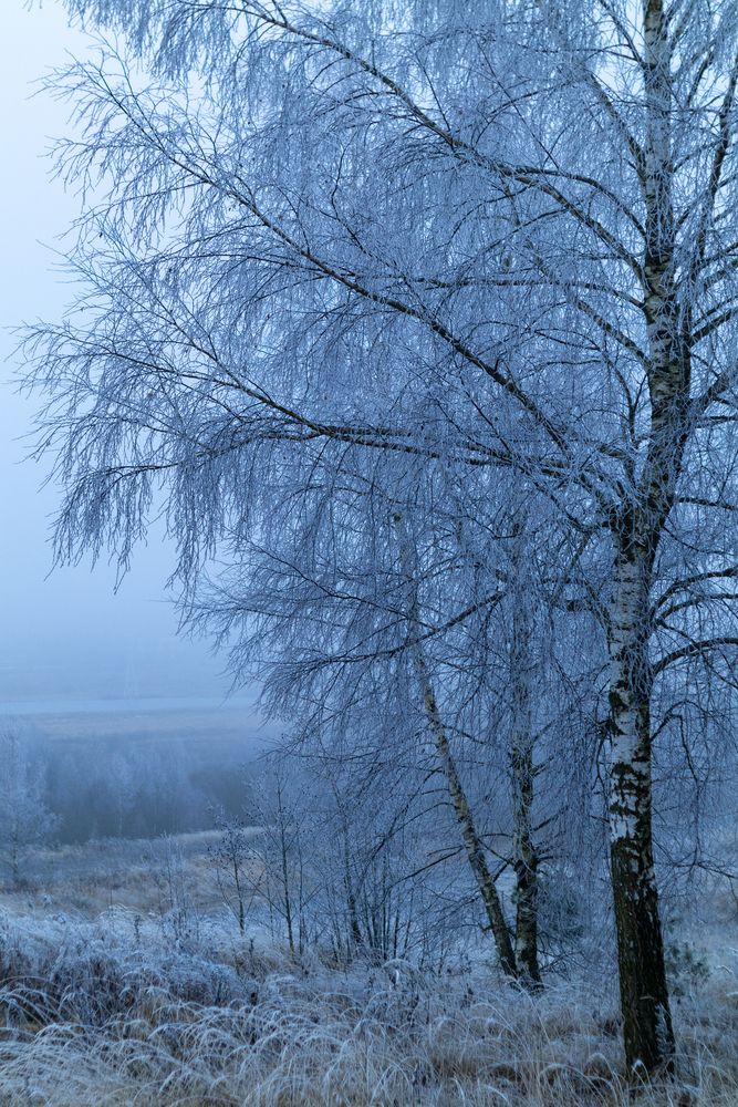 Фотография автора Aamoda Kitchen