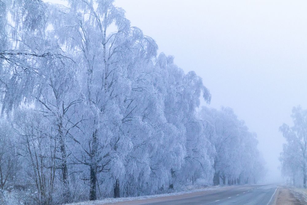 Фотография автора Aamoda Kitchen