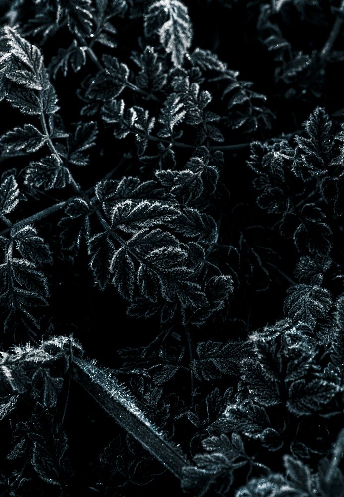 Photograph by Ирешева Мария