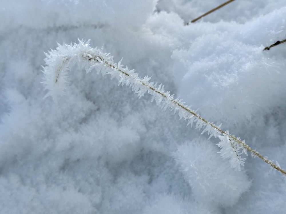 Photograph by Svetlana Rashidova