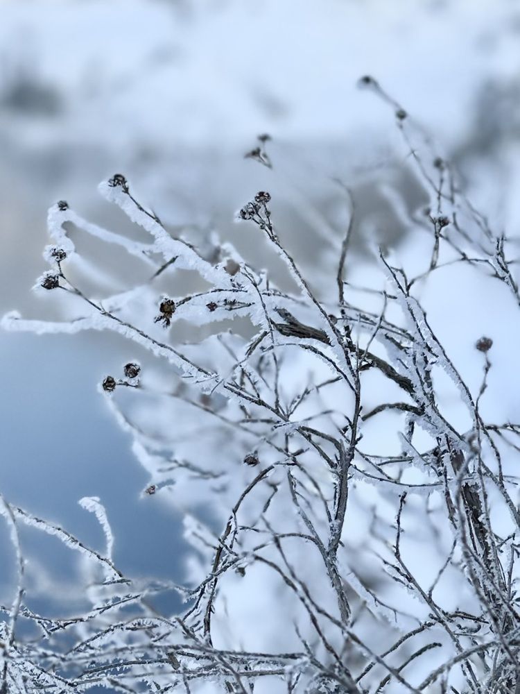 Photograph by Svetlana Rashidova