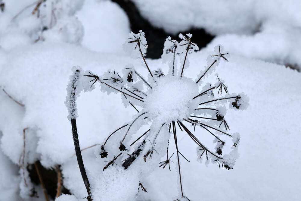 Photograph by Михаил Рогачев