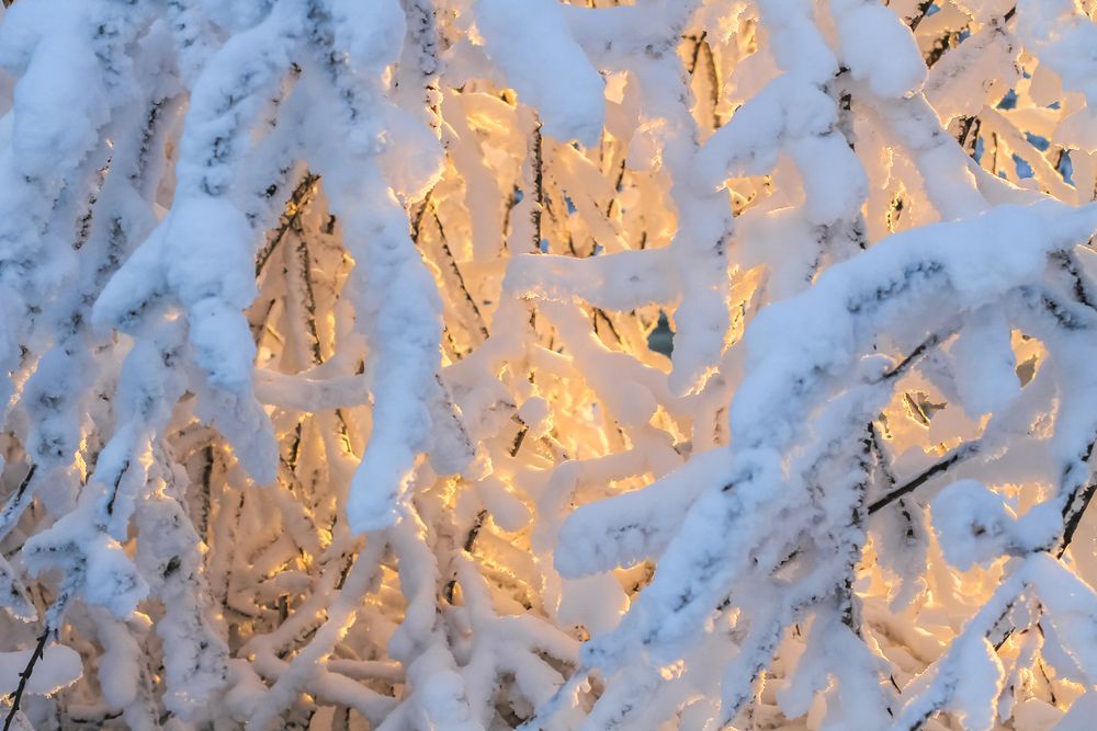 Photograph by Елена