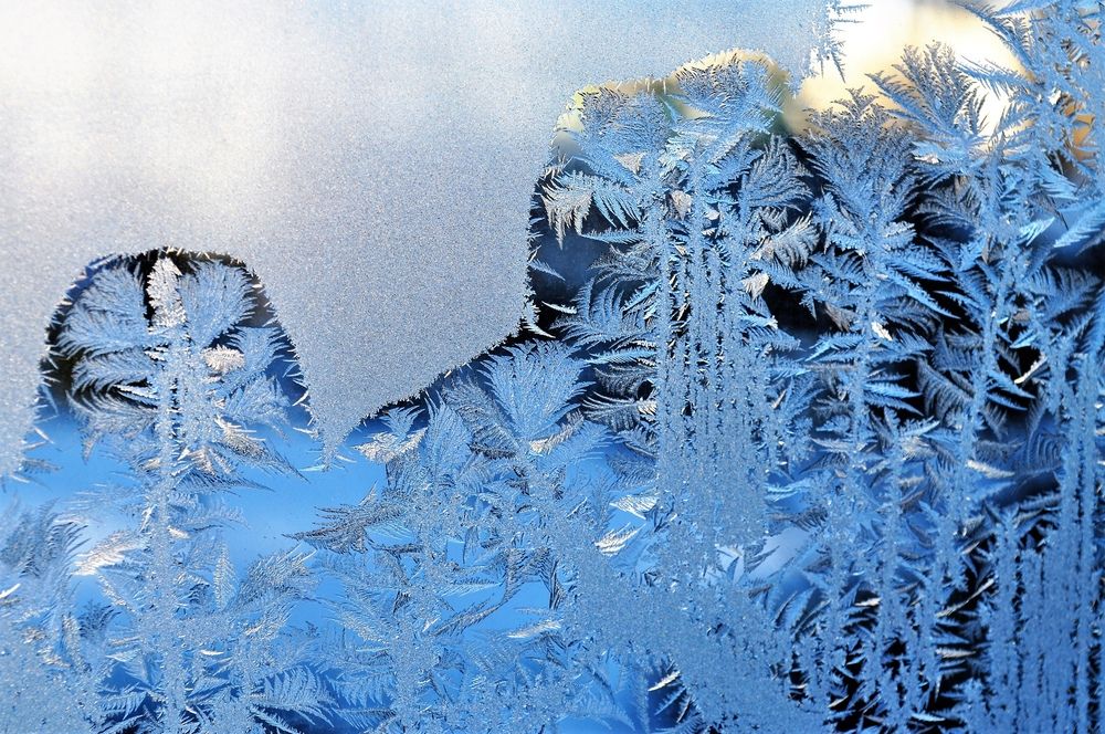 Зимний сад на стекле