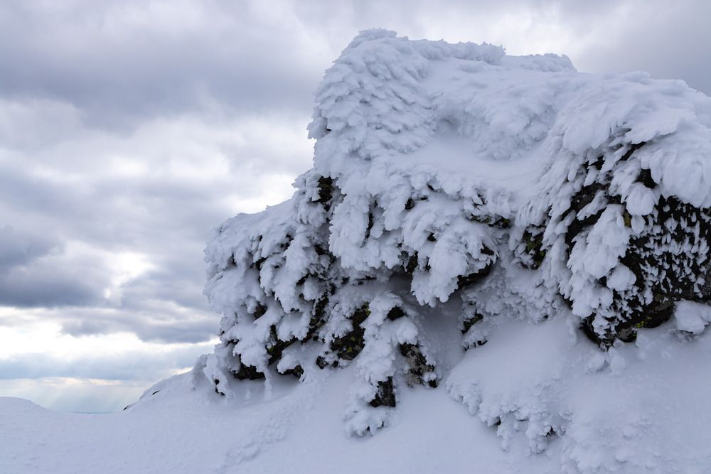 Photograph by Алексей Путилов