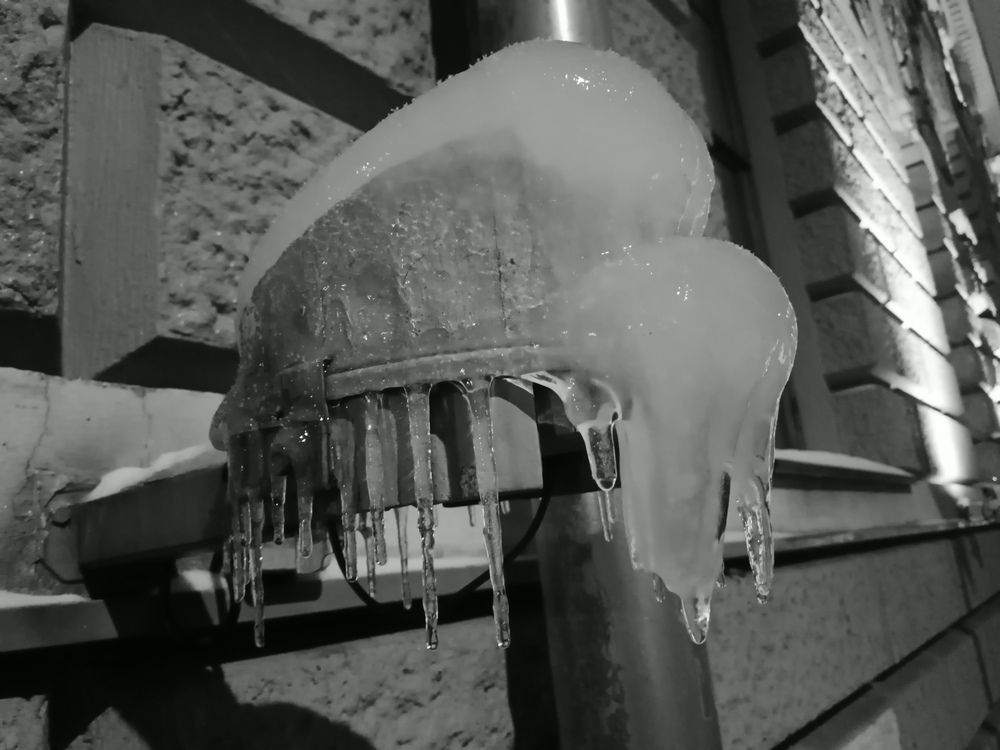 Photo #13032596