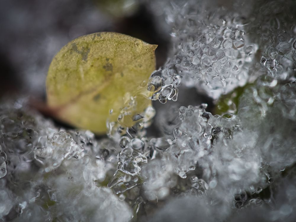 Photograph by KOHAGI