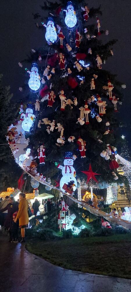 Photograph by Svitlana Usatenko