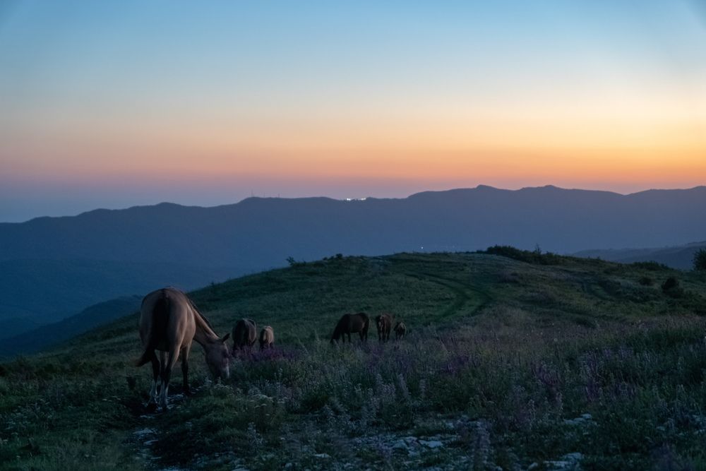 Фотография автора Наталья Пилипенко