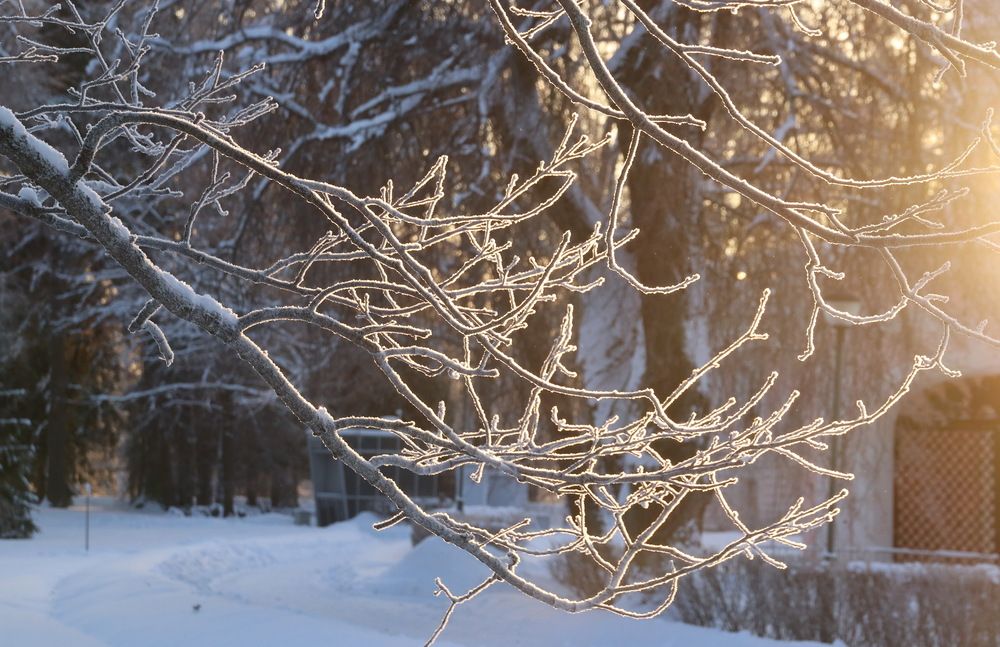 Photograph by Юрий Чистяков