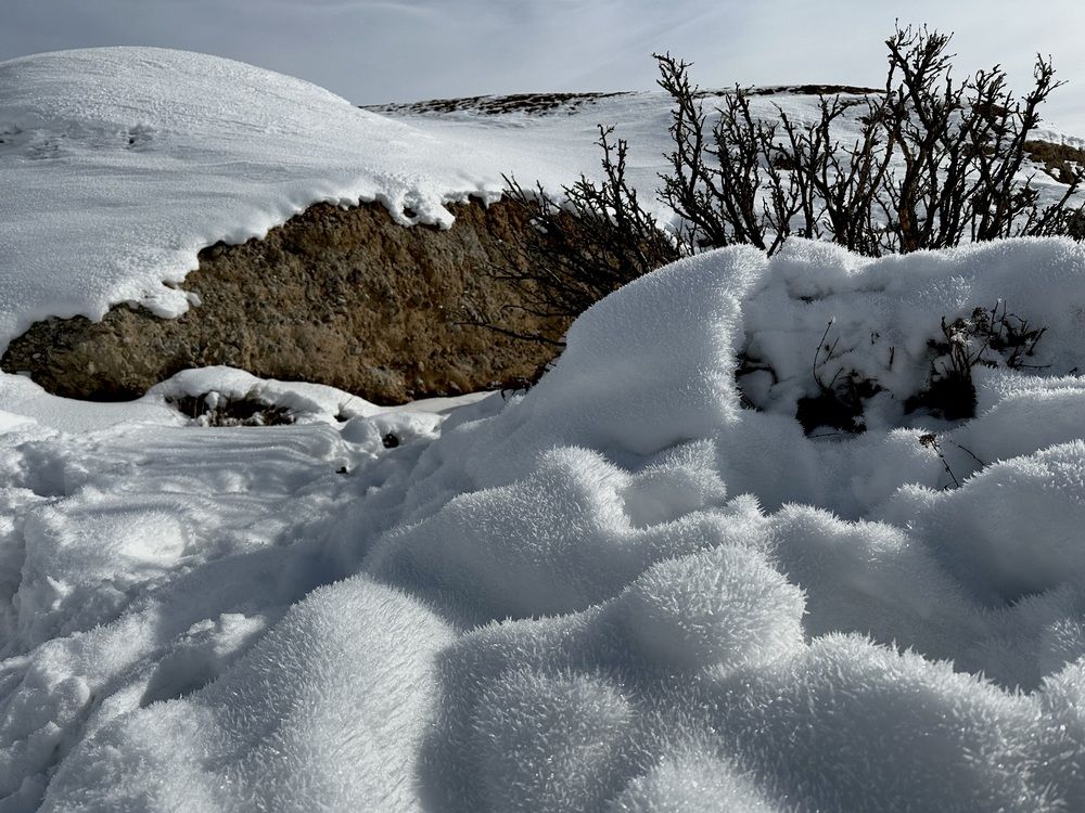 Photograph by Svetlana Rashidova