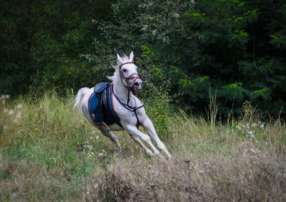 Photograph by Владимир Кваша